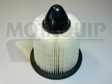 Air Filter (VFA11)