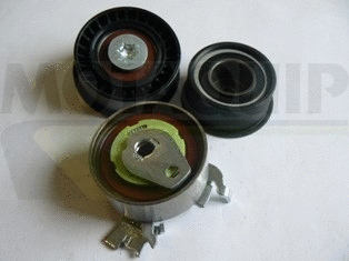 Timing Belt Kit (VTT106)