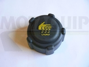 Cap, coolant tank