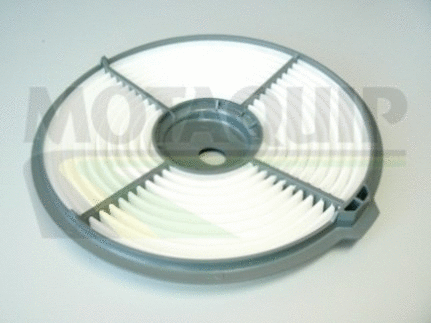 Air Filter (VFA804)