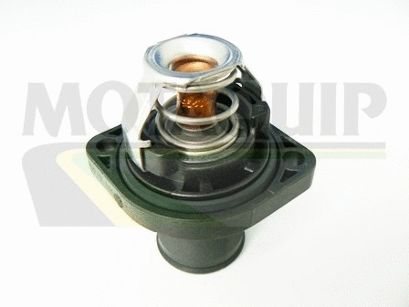 Thermostat, coolant (VTK46)