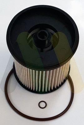 Fuel Filter (LVFF811)