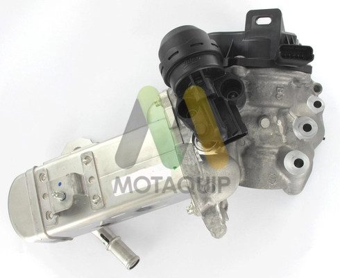 EGR Valve (LVER365)