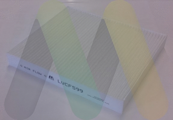 Filter, cabin air (LVCF599)