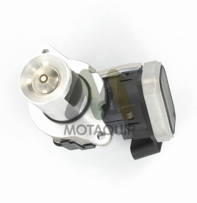 EGR Valve (LVER195)