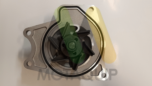 Water Pump, engine cooling (VWP805)