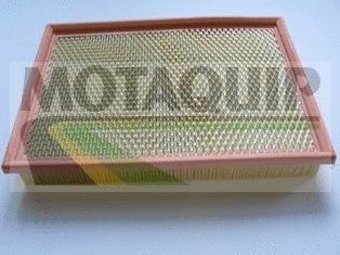 Air Filter (VFA1219)