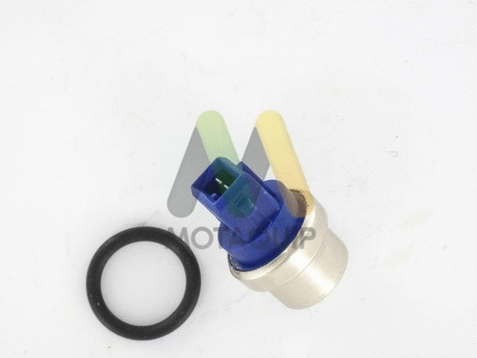 Sensor, coolant temperature (VCT120)