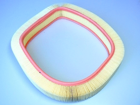 Air Filter (VFA390)