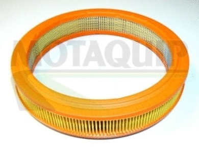 Air Filter (VFA189)