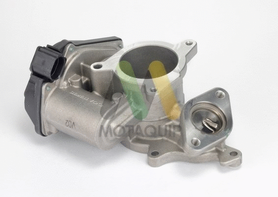 EGR Valve (LVER186)