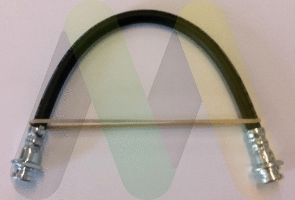 Brake Hose (LVBH1698)
