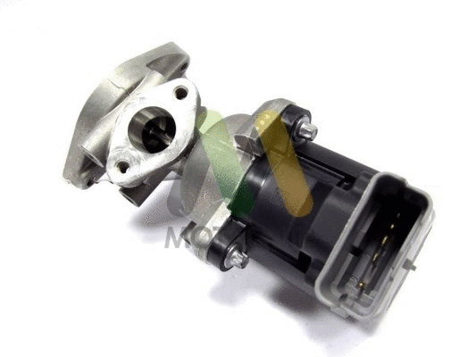 EGR Valve (LVER255)