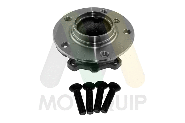 Wheel Bearing Kit (LVBW1695)
