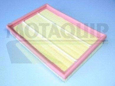 Air Filter (VFA819)