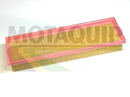 Air Filter (VFA1127)