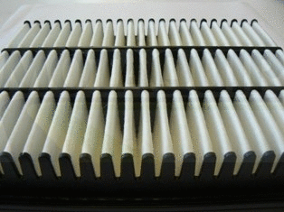 Air Filter (VFA1241)