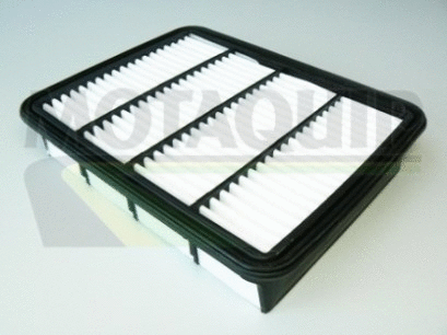 Air Filter (VFA67)