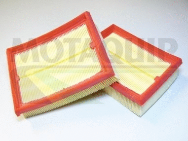 Air Filter (VFA1031)