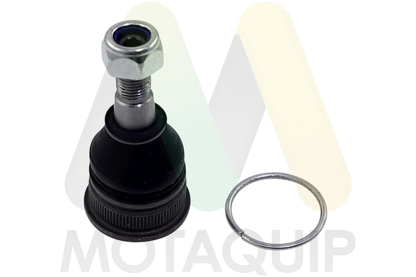 Ball Joint (LVSJ1191)