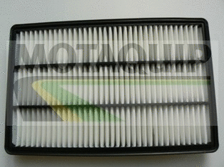 Air Filter (VFA1215)
