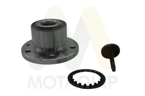 Wheel Bearing Kit (LVBW1679)