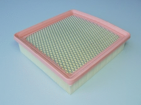 Air Filter (VFA945)