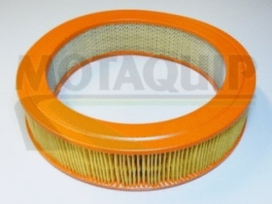 Air Filter (VFA219)