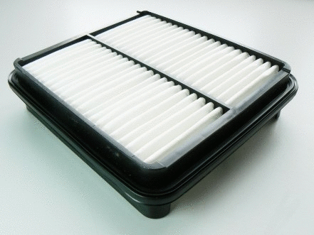 Air Filter (VFA852)