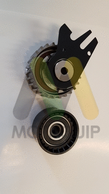 Timing Belt Kit