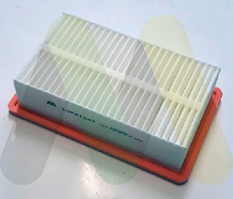 Air Filter (LVFA1647)