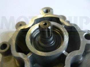 Water Pump, engine cooling (VWP795)