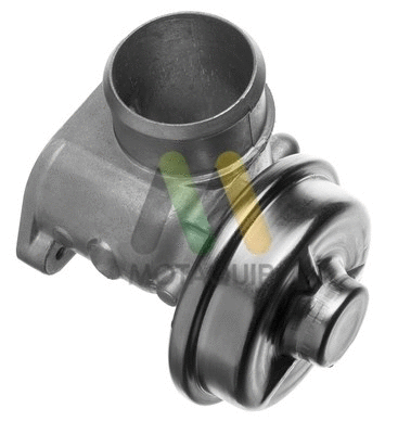 EGR Valve (LVER166)