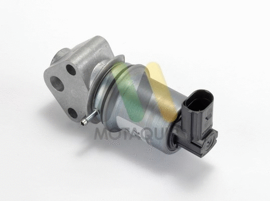 EGR Valve (LVER120)