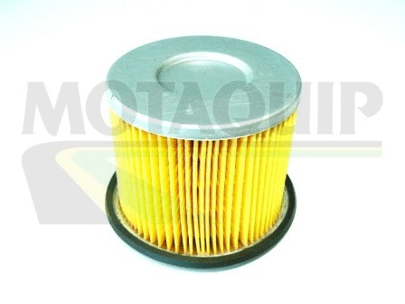 Fuel Filter (VFF202)