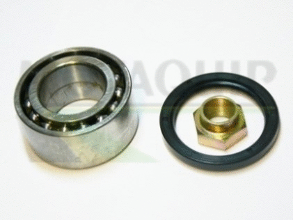 Wheel Bearing Kit (VBK1187)