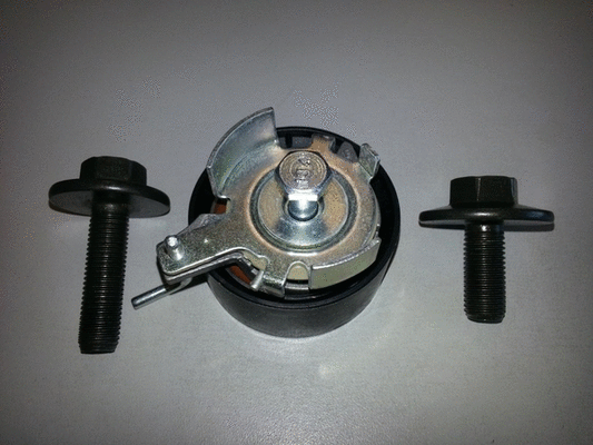 Timing Belt Kit (LVTT329)