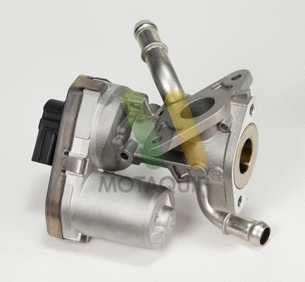 EGR Valve