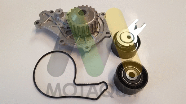 Water Pump & Timing Belt Kit (LVTTP100)