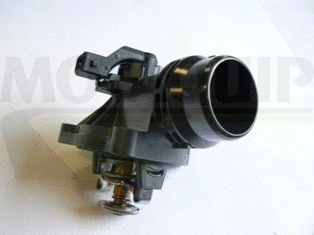 Thermostat, coolant (VTK162)