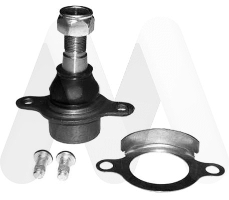 Ball Joint (LVSJ1171)