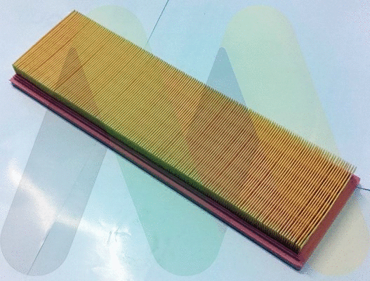 Air Filter (LVFA1618)