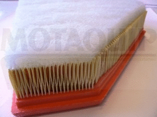 Air Filter (LVFA1403)