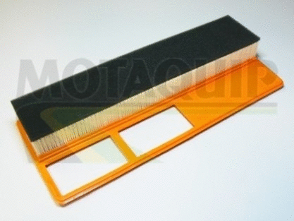Air Filter (VFA1057)