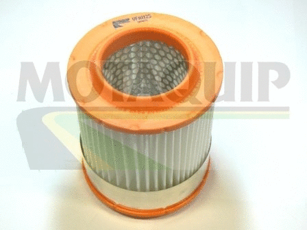 Air Filter (VFA1125)