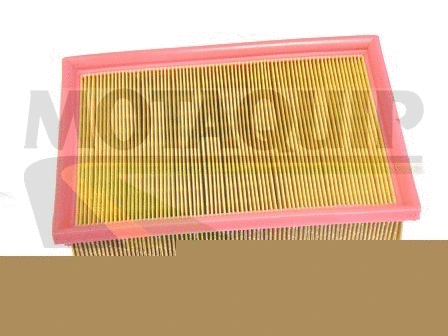 Air Filter (VFA1132)
