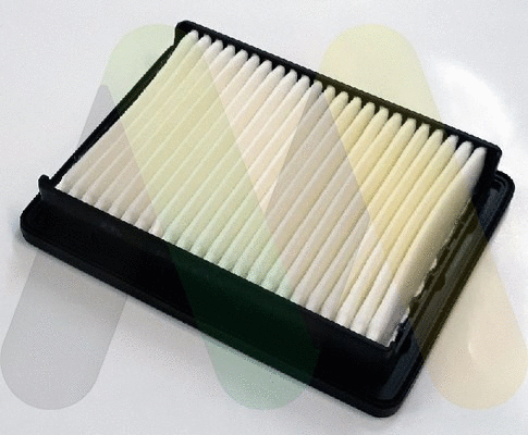 Air Filter (LVFA1613)