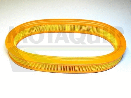 Air Filter (VFA478)