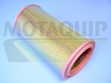 Air Filter (VFA788)
