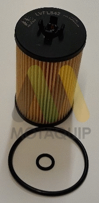 Oil Filter (LVFL842)